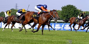 Gala Derby 2015