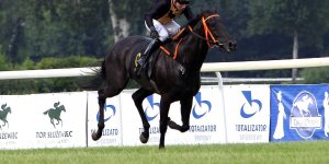 Gala Derby 2015