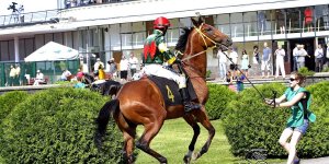 Gala Derby 2015