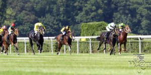 Gala Derby 2015