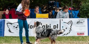 Latające psy - na polu Mokotowskim