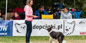 Latające psy - na polu Mokotowskim