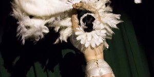 Polish Burlesque Festival