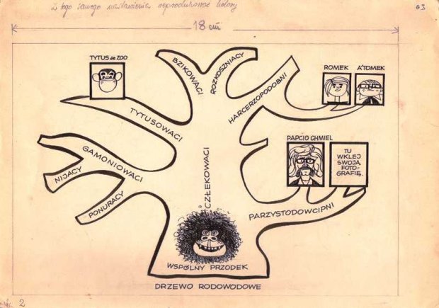 Drzewo rodowodowe - Tytus, Romek i A’Tomek. Księga I, 1965