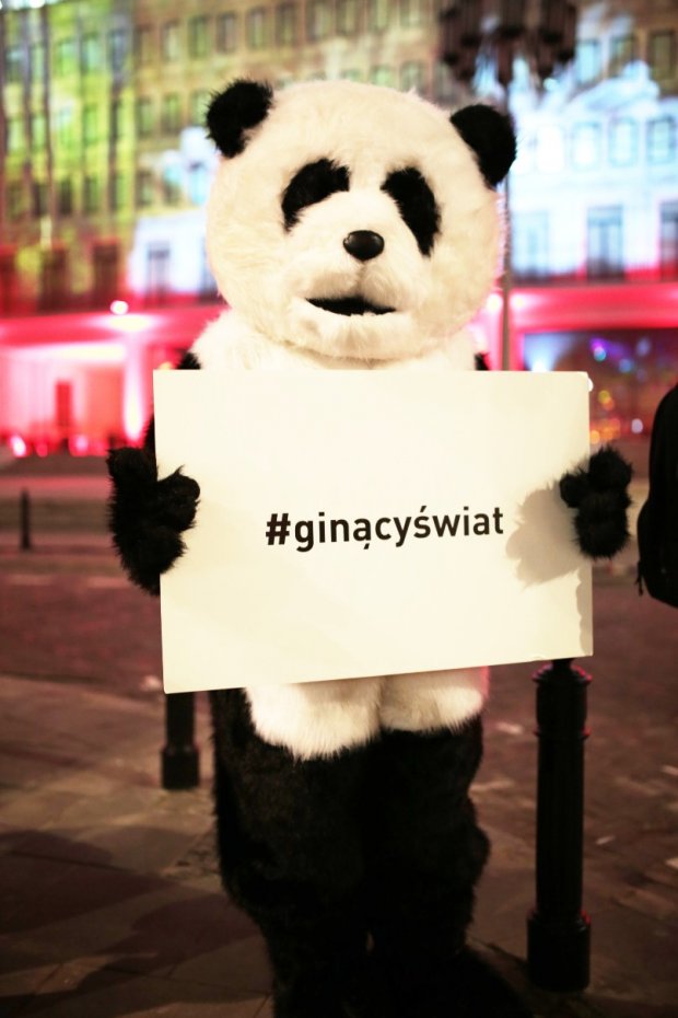 Miś Panda na pokazie Racing Extinction Ginący Świat