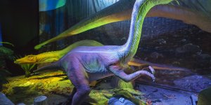 Dinozaury na żywo - wystawa na błoniach Stadionu Narodowego