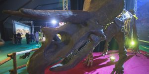 Dinozaury na żywo - wystawa na błoniach Stadionu Narodowego