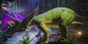 Dinozaury na żywo - wystawa na błoniach Stadionu Narodowego