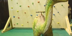 Dinozaury na żywo - wystawa na błoniach Stadionu Narodowego, strefa dla dzieci