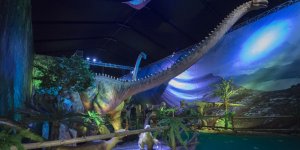 Dinozaury na żywo - wystawa na błoniach Stadionu Narodowego