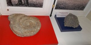 Wystawa Muzeum UW - „Orzeł i pięć gwiazd Uniwersytetu”