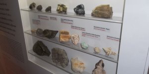 Wystawa Muzeum UW - „Orzeł i pięć gwiazd Uniwersytetu”