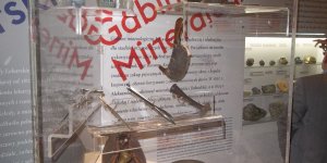 Wystawa Muzeum UW - „Orzeł i pięć gwiazd Uniwersytetu”