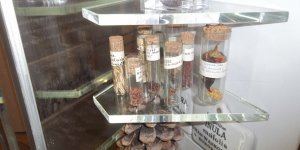 Wystawa Muzeum UW - „Orzeł i pięć gwiazd Uniwersytetu”