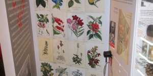 Wystawa Muzeum UW - „Orzeł i pięć gwiazd Uniwersytetu”