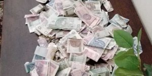 Kwesta na hospicjum w Wilnie - liczenie pieniążków