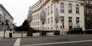 Drzewa w doniczkach - pomysł urzędników na zadrzewienie Alej Ujazdowskich w Warszawie