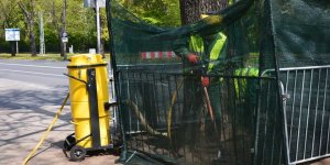 Na czas wymiany podłoża miejsce pracy jest wygradzane i osłaniane a gleba wokół drzew zwilżona