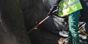 Na czas wymiany podłoża miejsce pracy jest wygradzane i osłaniane a gleba wokół drzew zwilżona