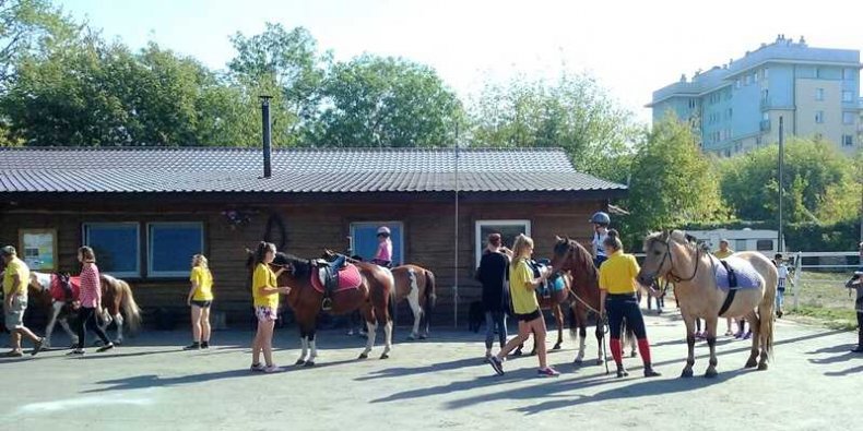Konie i dzieci na Golędzinowie w Fundacji Pociechom