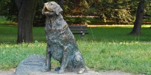 Pomnik szczęśliwego psa w Warszawie - autor: Bogna Czechowska