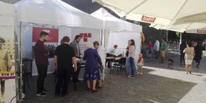 Kercelak 2016 - Święto Woli