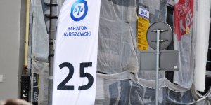 Powiśle