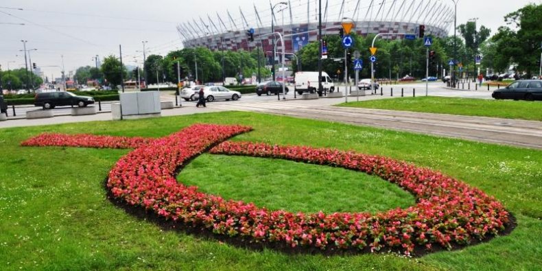 Kwiatowa różowa wstążka na Rondzie Waszyngtona.