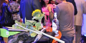 Festiwal Ciało/Umysł