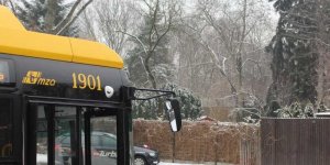 Autobus MZA