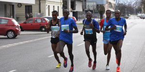 Półmaraton Warszawski