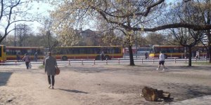 Metro Wilanowska pętla autobusów miejskich