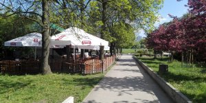 Pub Tola - widok od ul. Rokitnickiej