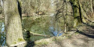 Kanał Sobieskiego widziany ze ścieżki w rezerwacie Morysin.