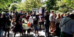 Kundelki Roku 2017 - Pub Tola na Polu Mokotowskim