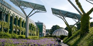 Ogrody górne Biblioteki UW