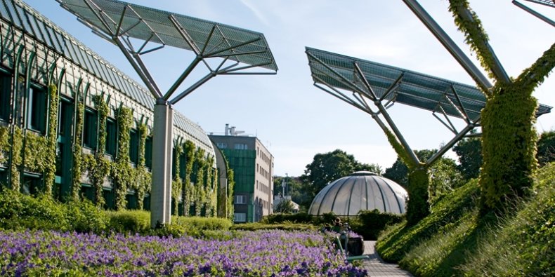 Ogrody górne Biblioteki UW