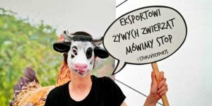 Protest przeciw transportom żywych zwierząt.