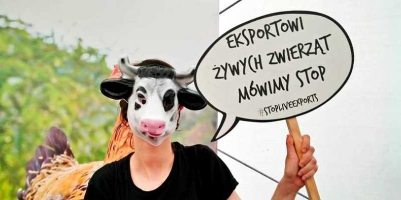 Protest przeciw transportom żywych zwierząt.