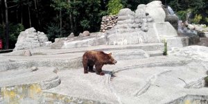 Misiek zaprasza - "Jak chcecie nas odwiedzić to najwyższa pora. Mnie już się robi śpiąco, więc pora przyjść i powiedzieć mi dobranoc. Macie okazję bo weekend!"
