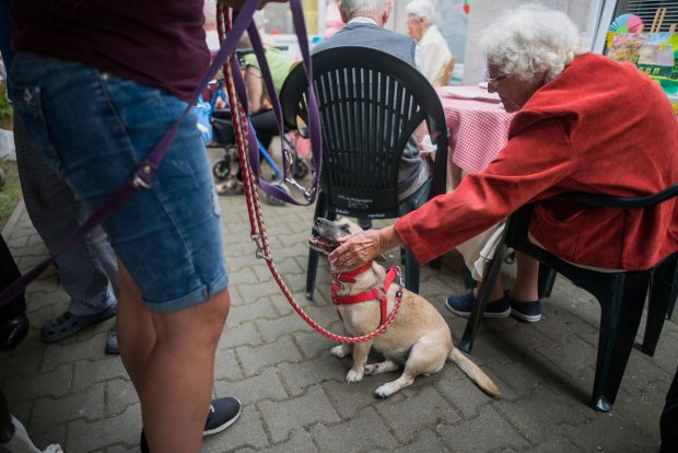 Na Pikniku u Matysiaków