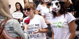 Protest pod Ministerstwem Rolnictwa przeciwko długodystansowym transportom żywych zwierząt