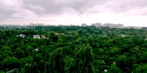 Zielona Warszawa - Ogródki Działkowe Pod Skocznią
