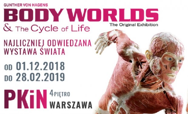 Body Worlds - plakat