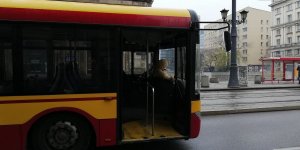 Pokaz zderzenia autobusu MZA z samochodem osobowym