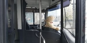 Pokaz zderzenia autobusu MZA z samochodem osobowym