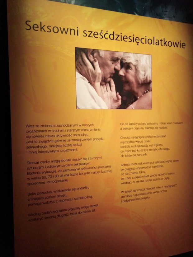 BODY WORLDS - pocieszająca plansza