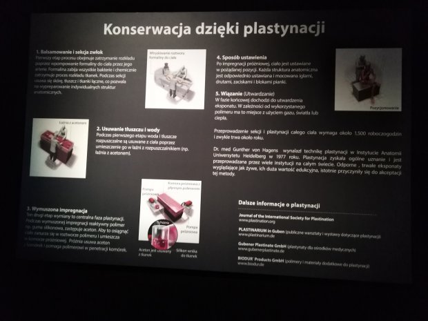 Plastynacja - jedna z plansz wystawy