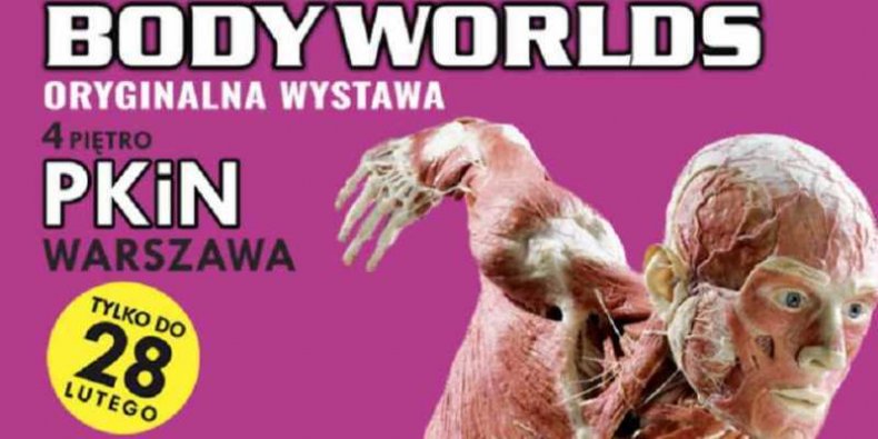 Body Worlds - plakat