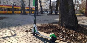 Hulajnogi - cud na mieście